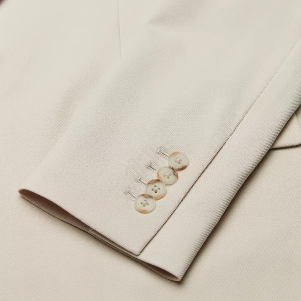 Aritzia Babaton Vogue Blazer